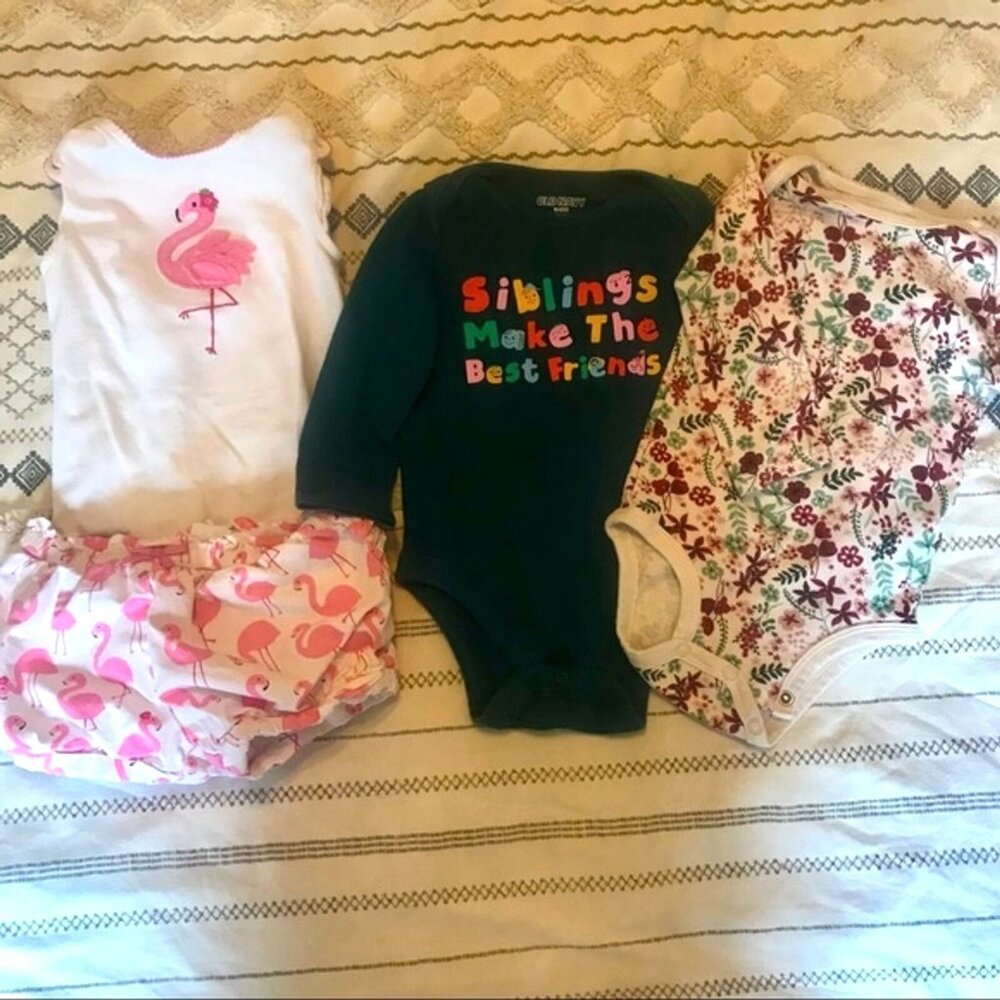 Baby Girl Clothing Bundle Bodysuits, Shorts, Flamingo Outfit. Size 12 months‎